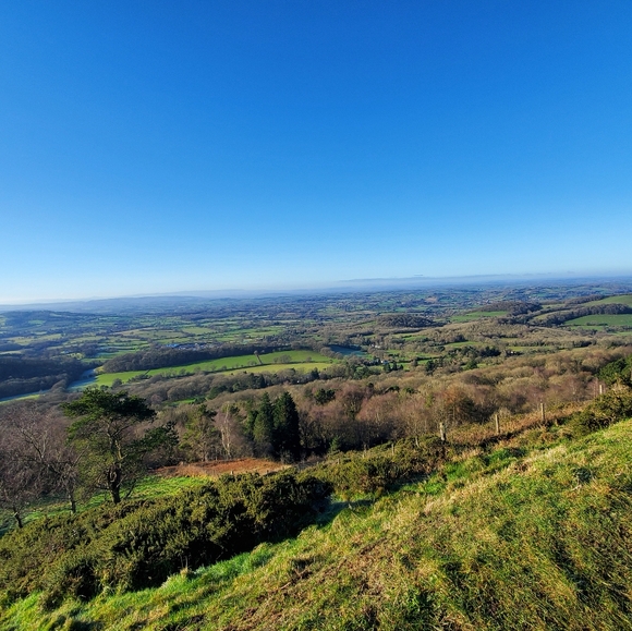 Meet your Posher, Berthe - Picture 2 of 2